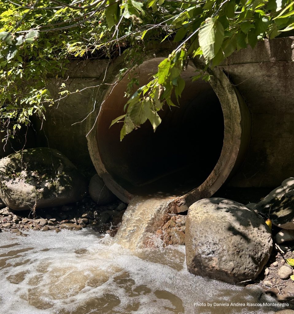 Déchets solides dans les eaux usées municipales : un problème qui persiste